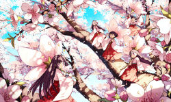 Rule 34 | 5girls, arm at side, arm up, blunt bangs, bob cut, boots, braid, branch, brown hair, cherry blossoms, closed mouth, dappled sunlight, day, flower, hakama, hand up, hands up, happy, hime cut, hinata (echoloveloli), holding, holding flower, in tree, japanese clothes, jitome, jumping, kimono, long hair, long sleeves, looking at viewer, looking away, looking back, looking to the side, mini person, minigirl, multiple girls, nature, open mouth, original, outstretched arm, pink flower, pink kimono, purple eyes, purple hair, red hakama, shading eyes, short hair, sidelocks, sitting, sky, smile, spring (season), standing, sunlight, tree, twin braids, twintails, very long hair, wide sleeves