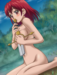Rule 34 | 00s, 1girl, awa, blush, breasts, cecily cambell, nipples, nude, red hair, seiken no blacksmith, short hair, solo, sword, weapon