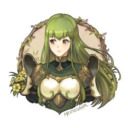 Rule 34 | 1girl, armor, blush, breastplate, commentary, cropped torso, dress, fire emblem, fire emblem: shadow dragon and the blade of light, green dress, green eyes, green hair, long hair, looking to the side, meziosaur, nintendo, palla (fire emblem), shoulder armor, simple background, solo, upper body, very long hair, white background