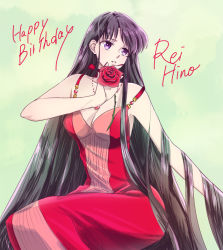 Rule 34 | 1girl, absurdly long hair, bare shoulders, bishoujo senshi sailor moon, black hair, breasts, character name, cleavage, dress, flower, green background, happy birthday, hino rei, holding, jewelry, karasa (tsukasa yu), long hair, looking afar, necklace, parted lips, princess mars, purple eyes, red dress, red flower, red rose, rose, simple background, sitting, solo, very long hair
