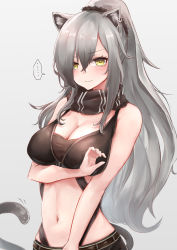 Rule 34 | ..., 1girl, absurdres, animal ears, arknights, bare arms, bare shoulders, black scarf, blush, breasts, cat ears, cat tail, cleavage, commentary request, crop top, grey background, hair between eyes, highres, large breasts, long hair, looking at viewer, midriff, navel, partial commentary, scarf, schwarz (arknights), silver hair, simple background, sleeveless, solo, spoken ellipsis, srn ana, stomach, tail, upper body, very long hair, yellow eyes