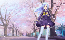 Rule 34 | 1girl, 5-dimensional skaters, bad id, bad pixiv id, bag, blazer, blue hair, blue skirt, blush, bow, bowtie, buttons, cherry blossoms, highres, jacket, long hair, long sleeves, looking at viewer, open mouth, original, petals, pleated skirt, purple eyes, ribbon, road, school uniform, skirt, smile, solo, standing, street, thighhighs, tree, white thighhighs, wind, yellow ribbon, zettai ryouiki