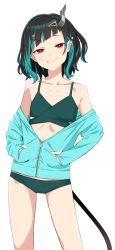 Rule 34 | 1girl, nanashi inc., akitetsu, bikini, bikini under clothes, black hair, blue hair, blue jacket, blush, closed mouth, demon girl, demon horns, demon tail, fang, fang out, feet out of frame, flat chest, green bikini, hands in pockets, horns, jacket, long sleeves, looking at viewer, medium hair, multicolored hair, pointy ears, red eyes, shishio chris, simple background, smile, solo, sugar lyric, swimsuit, tail, transparent background, two-tone hair, unzipped, virtual youtuber
