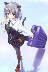 Rule 34 | 00s, 1girl, animal ears, black pantyhose, cat ears, cat tail, green eyes, kuruto, kuruton, necktie, pantyhose, sanya v. litvyak, shoes, silver hair, solo, strike witches, suitcase, tail, world witches series