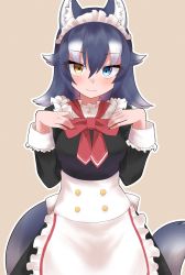 Rule 34 | 1girl, alternate costume, animal ears, apron, black hair, blue eyes, blush, breasts, enmaided, frilled apron, frills, grey wolf (kemono friends), heterochromia, highres, kemono friends, looking at viewer, maid, maid apron, maid headdress, medium breasts, mitorizu 02, multicolored hair, solo, tail, two-tone hair, waist apron, white apron, white hair, wolf ears, wolf girl, wolf tail, yellow eyes