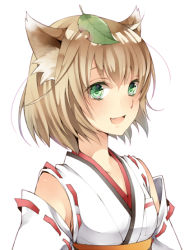Rule 34 | 1girl, animal ears, bad id, bad pixiv id, blush, brown hair, collarbone, fang, green eyes, japanese clothes, leaf, leaf on head, miko, open mouth, original, shabon, solo, white background