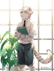 Rule 34 | 1boy, aged down, animal ears, arknights, book, collared shirt, feet out of frame, furry, furry male, hinokumo f, holding, holding book, male focus, mountain (arknights), necktie, plant, shirt, short hair, solo, standing, tiger boy, tiger ears