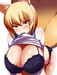 Rule 34 | animal ears, blonde hair, breasts, fox ears, fox tail, gero zoukin, highres, large breasts, simple background, tail, touhou, white background, yakumo ran, yellow eyes