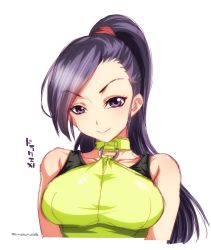Rule 34 | 1girl, bare shoulders, breasts, dragon quest, dragon quest xi, long hair, looking at viewer, martina (dq11), mudou eichi, ponytail, purple eyes, purple hair, simple background, smile, solo, white background
