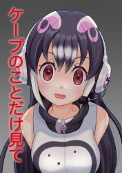 Rule 34 | african penguin (kemono friends), black eyes, black hair, gloves, highres, kemono friends, kemono friends v project, shoes, skirt, tail, virtual youtuber