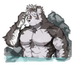Rule 34 | 1boy, abs, absurdres, animal ears, bara, chest hair, expressionless, facial scar, furry, furry male, grey hair, highres, horkeu kamui, large pectorals, looking at viewer, male focus, muscular, muscular male, navel, neumo, nipples, nude, official alternate hairstyle, onsen, pectorals, rock, scar, scar on arm, scar on cheek, scar on chest, scar on face, short hair, sketch, solo, stomach, tokyo houkago summoners, two-tone fur, upper body, water, wet, wet hair, wolf boy, wolf ears, yellow eyes