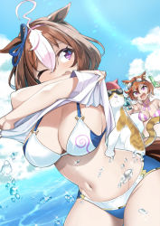 Rule 34 | 2girls, ahoge, animal, animal ears, bikini, blue ribbon, blue sky, breasts, brown hair, cat, cloud, commentary request, day, goggles, goggles on head, hair between eyes, hair ribbon, highres, horse ears, horse girl, horse tail, large breasts, meisho doto (umamusume), multicolored hair, multiple girls, navel, ocean, one eye closed, open mouth, outdoors, purple eyes, real life, ribbon, sasanon (sasapoliton), shirt, short hair, short sleeves, sky, streaked hair, striped bikini, striped clothes, striped shirt, swimsuit, t.m. opera o (umamusume), tail, umamusume, vertical-striped bikini, vertical-striped clothes, white bikini, white hair, white shirt