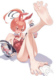 Rule 34 | 1boy, 1girl, ahoge, doodle sensei (blue archive), barefoot, between toes, blue archive, blush, fang, feet, foot focus, foreshortening, greek toe, highres, jacket, knees together feet apart, legs, leotard, neru (blue archive), open mouth, orange hair, playboy bunny, red eyes, rryiup, sensei (blue archive), simple background, soles, spread toes, sweat, toenails, toes, white background