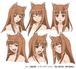 Rule 34 | 00s, angry, animal ears, brown hair, expressions, closed eyes, holo, long hair, non-web source, nude, official art, one eye closed, production, red eyes, sketch, smile, spice and wolf, surprised, tail, wink, wolf ears