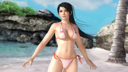 Rule 34 | 1girl, 3d, beach, bikini, black hair, breasts, brown eyes, dead or alive, dead or alive 5, large breasts, long hair, momiji (ninja gaiden), ninja gaiden, ninja gaiden: dragon sword, ocean, official art, ponytail, solo, swimsuit, tecmo
