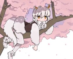 Rule 34 | 010mzam, 1girl, animal ears, anteater ears, anteater tail, blush, bow, bowtie, branch, cherry blossoms, extra ears, frills, hair between eyes, in tree, kemono friends, kemono friends 3, long sleeves, lying, orange eyes, pantyhose, petals, short hair, skirt, southern tamandua (kemono friends), tail, tamandua ears, tamandua tail, tree, white hair