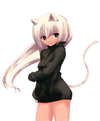 Rule 34 | 1girl, animal ears, bottomless, cat ears, cat tail, repair, solo, tail, white hair