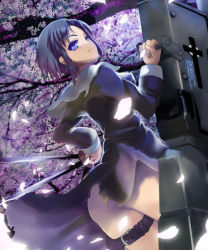 Rule 34 | 00s, 1girl, ass, black keys (type-moon), blue eyes, blue hair, cherry blossoms, ciel (tsukihime), dress, houen, huge weapon, matching hair/eyes, no panties, petals, pile bunker, seventh holy scripture, short hair, sidelocks, solo, sword, thigh strap, torn clothes, tsukihime, weapon