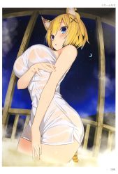 Rule 34 | 1girl, absurdres, animal ears, arm under breasts, artist name, blonde hair, blue eyes, blush, breast hold, breasts, cat ears, cat tail, covered navel, fisheye, from below, greatmosu, hair ornament, highres, large breasts, naked towel, night, night sky, onsen, page number, scan, short hair, sky, solo, steam, tail, tiger ears, tiger tail, toranoana, towel, wading, x hair ornament