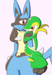 Rule 34 | creatures (company), game freak, gen 4 pokemon, gen 5 pokemon, highres, lucario, nintendo, pokemon, pokemon (creature), simple background, size difference, snivy, tagme