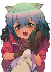 Rule 34 | 1girl, 1other, animal ears, blue hair, blush, body fur, brand new animal, brown gloves, commentary request, fangs, from below, furry, furry female, gloves, hand in own hair, hand on another&#039;s cheek, hand on another&#039;s face, hands up, highres, jacket, kagemori michiru, kyma curry, long hair, long sleeves, looking at viewer, multicolored hair, ogami shirou, open clothes, open jacket, open mouth, raccoon ears, raccoon girl, raccoon tail, red jacket, shirt, short hair, shorts, simple background, solo focus, tail, tongue, tongue out, upper body, white background, white shirt