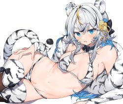 Rule 34 | 1girl, ahoge, animal ears, animal print, bikini, blue eyes, blue hair, breasts, breasts apart, collarbone, detached collar, detached sleeves, fang, fingernails, hair ornament, hand on own thigh, highres, inuyayo, long hair, looking at viewer, lying, medium breasts, multicolored hair, navel, on side, open mouth, original, print bikini, print sleeves, print thighhighs, simple background, solo, stole, streaked hair, sweatdrop, swimsuit, thighhighs, thighs, tiger ears, tiger print, two-tone hair, white background, white hair, white tiger print