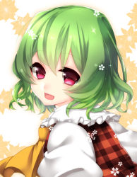 Rule 34 | 1girl, ascot, bad id, bad pixiv id, checkered clothes, checkered shirt, floral background, flower, frills, green hair, kazami yuuka, looking at viewer, looking back, open mouth, portrait, puffy sleeves, red eyes, shirt, short hair, simple background, smile, solo, touhou, wavy hair, white shirt, yutazou
