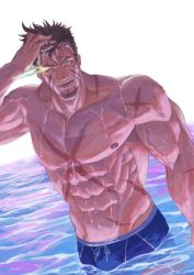 Rule 34 | &gt; o, 1boy, abs, bara, blue male swimwear, brown hair, bulge, cross scar, facial hair, feet out of frame, flaming eye, goatee, hand in own hair, heracles (housamo), highres, large pectorals, long sideburns, looking at viewer, male focus, male swimwear, mature male, muscular, muscular male, navel, nipples, official alternate costume, one eye closed, pectorals, scar, scar on arm, scar on chest, short hair, sideburns, solo, stomach, swim briefs, tokyo houkago summoners, topless male, wading, wet, wet hair, yusuke (yu suke 001)