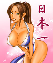 Rule 34 | 1girl, breasts, brown hair, fatal fury, green eyes, highres, large breasts, ponytail, shiranui mai, smile, solo, the king of fighters, translation request