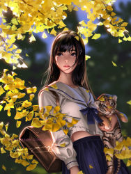 Rule 34 | 1girl, animal, animal hug, autumn, autumn leaves, bag, black eyes, black hair, blue bow, blue eyes, blue skirt, blurry, blurry background, bow, branch, commentary, cowboy shot, day, depth of field, eyebrows hidden by hair, ginkgo tree, ginkgo leaf, hair ornament, highres, holding, holding animal, leaf, liang xing, long hair, long sleeves, looking away, looking to the side, makeup, mascara, midriff peek, mole, original, outdoors, parted lips, patreon username, pink lips, pleated skirt, sailor collar, satchel, school uniform, serafuku, shirt, signature, skirt, solo, sunlight, tiger, tiger cub, watermark, web address, white sailor collar, white shirt, x hair ornament