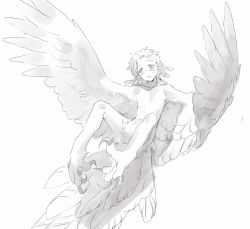 Rule 34 | 1boy, bird tail, bird wings, embarrassed, fewer digits, flying, greyscale, harpy boy, highres, looking away, male focus, monochrome, monster boy, mullmull02, original, parted lips, simple background, solo, spread wings, tail, white background, wings