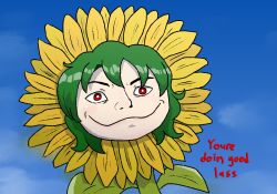 Rule 34 | 1girl, blue sky, close-up, closed mouth, commentary, english commentary, english text, flower, green hair, highres, kazami yuuka, leaf, meme, outdoors, potatoyi, red eyes, short hair, sky, solo, sunflower, touhou, yellow flower
