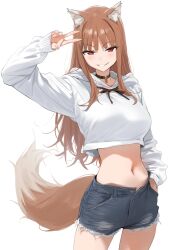 Rule 34 | 1girl, ai-assisted, aiart fring, alternate breast size, animal ear fluff, animal ears, breasts, choker, contemporary, crop top, hand in pocket, highres, holo, hood, hoodie, large breasts, long hair, long sleeves, midriff, red eyes, shorts, smile, solo, spice and wolf, tail, v, wolf ears, wolf tail