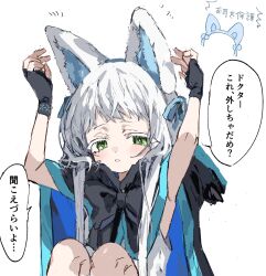 Rule 34 | 1girl, :o, animal ears, arknights, black bow, black gloves, bow, bracelet, cat ears, cat girl, commentary, ear covers, fingerless gloves, gloves, green eyes, half-closed eyes, hands up, highres, hood, hood down, infection monitor (arknights), jacket, jewelry, knees to chest, long hair, looking at viewer, na tarapisu153, parted lips, rosmontis (arknights), simple background, sitting, solo, speech bubble, translated, upper body, white background, white hair