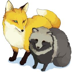Rule 34 | animal, animal focus, fox, green eyes, murata (pixiv49763), no humans, raccoon, red eyes, scar, scar across eye, scar on face, tanuki