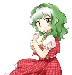 Rule 34 | 1girl, ascot, closed mouth, clothing cutout, cowboy shot, flower, frilled ascot, frilled sleeves, frills, from side, green hair, hands up, holding, holding flower, kazami yuuka, long hair, looking at viewer, nonamejd, official style, petticoat, plaid, plaid skirt, plaid vest, pleated shirt, puffy short sleeves, puffy sleeves, red eyes, red skirt, red vest, shirt tucked in, short sleeves, shoulder cutout, simple background, skirt, skirt set, smile, solo, standing, swept bangs, touhou, undershirt, vest, wavy hair, white background, white flower, wind, yellow ascot, zun (style)