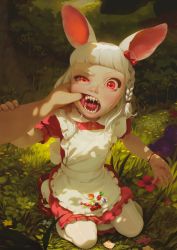 Rule 34 | 1boy, 1girl, alkemanubis, animal ears, apron, blunt bangs, bracelet, braid, candy, collared dress, dappled sunlight, day, dress, fantasy, finger in another&#039;s mouth, food, frilled apron, frilled dress, frills, grass, highres, jewelry, kneeling, medium hair, mouth pull, mushroom, open mouth, original, outdoors, pantyhose, plant, rabbit ears, rabbit girl, red eyes, sharp teeth, shoes, side braid, solo focus, sunlight, teeth, tongue, tree, white hair, white pantyhose, wrapped candy