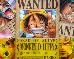 Rule 34 | angry, bounty, franky (one piece), monkey d. luffy, nico robin, one piece, roronoa zoro, scar, smile, tony tony chopper, usopp, wanted, wanted poster