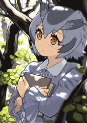 Rule 34 | 1girl, alternate costume, book, hugging book, commentary request, crossed arms, grey hair, hair between eyes, highres, holding, holding book, kemono friends, long sleeves, looking away, multicolored hair, northern white-faced owl (kemono friends), hugging object, orange eyes, rinx, short hair, solo, tree, two-tone hair, upper body