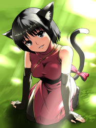 Rule 34 | animal ears, bad id, bad pixiv id, black eyes, black hair, cat ears, cat tail, china dress, chinese clothes, dress, elbow gloves, fingerless gloves, gloves, kneeling, nyamota, ribbon, short hair, solo, tail, tail ornament, tail ribbon, thighhighs