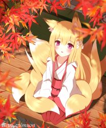 Rule 34 | 1girl, animal ears, blonde hair, blush, commentary request, eyebrows, flower, fox ears, hair flower, hair ornament, highres, japanese clothes, kimono, leaf, maple leaf, miko, multiple tails, non (wednesday-classic), original, red eyes, sitting, solo, tail, tatami