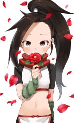 Rule 34 | 1girl, absurdres, black hair, brown eyes, commentary request, crop top, flower, forehead, high ponytail, highres, holding, holding flower, kunoichi tsubaki no mune no uchi, long hair, midriff, navel, petals, ponytail, red flower, short sleeves, simple background, solo, tsubaki (kunoichi tsubaki no mune no uchi), very long hair, white background, yamamoto souichirou