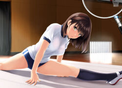 Rule 34 | 1girl, basketball hoop, black socks, blue butterfly, bra, bra visible through clothes, breasts, brown eyes, brown hair, bug, butterfly, commentary request, gym shirt, gym uniform, highres, indoors, insect, kneehighs, looking at viewer, magnifying glass, medium breasts, nonaka ritsu, original, parted lips, puffy short sleeves, puffy sleeves, see-through, shirt, shoes, short sleeves, socks, solo, underwear, uwabaki, wet, wet clothes, wet shirt, white bra, white footwear