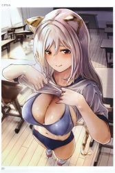 Rule 34 | absurdres, animal ear fluff, animal ears, artist name, breasts, brown eyes, buruma, classroom, cleavage, desk, covered erect nipples, gustav (telomere na), gym uniform, highres, indoors, large breasts, lifting own clothes, looking at viewer, navel, scan, school desk, shoes, short sleeves, silver hair, solo, stomach, sweat, sweatdrop, tail, toranoana, window