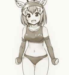 Rule 34 | 10s, 1girl, :d, animal ears, bad id, bad twitter id, bare shoulders, buruma, commentary request, cowboy shot, elbow gloves, fingerless gloves, gazelle ears, gazelle horns, gloves, grey background, greyscale, gym uniform, headband, horns, kemono friends, legs together, looking at viewer, monochrome, navel, open mouth, short hair, simple background, smile, solo, standing, tank top, thomson&#039;s gazelle (kemono friends), totokichi
