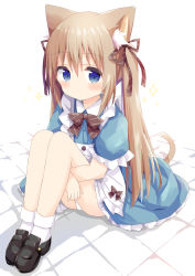 Rule 34 | 1girl, absurdres, animal ear fluff, animal ears, apron, black footwear, blue dress, blush, brown hair, brown ribbon, cat ears, cat girl, cat tail, closed mouth, commentary request, dress, frilled apron, frilled dress, frills, full body, hair ribbon, highres, hugging own legs, knees up, loafers, long hair, looking at viewer, maid apron, nakkar, on floor, original, panties, puffy short sleeves, puffy sleeves, ribbon, shoes, short sleeves, sitting, socks, solo, sparkle, striped ribbon, tail, tile floor, tiles, twintails, underwear, very long hair, white apron, white panties, white socks