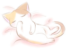 Rule 34 | animal, animal focus, cat, mitsuki hina, no humans, original, sleeping
