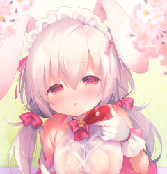 Rule 34 | 1girl, :o, animal ears, bare shoulders, blurry, blurry foreground, bow, breasts, commentary request, cup, depth of field, drooling, flower, gloves, hair between eyes, hair bow, highres, holding, holding cup, large breasts, long hair, looking at viewer, low twintails, maid headdress, original, parted lips, pink flower, rabbit ears, red bow, red eyes, sakazuki, saliva, see-through, shirt, sleeveless, sleeveless shirt, solo, twintails, upper body, usashiro mani, wet, wet clothes, wet shirt, white gloves, white hair, white shirt