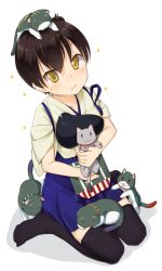 Rule 34 | 10s, 1girl, akai ronii, animal, animal on head, black thighhighs, blue skirt, brown hair, cat, cat on head, hakama, hakama short skirt, hakama skirt, japanese clothes, kaga (kancolle), kantai collection, looking at viewer, muneate, no shoes, on head, on lap, pleated skirt, side ponytail, simple background, sitting, skirt, solo, sparkle, tasuki, thighhighs, wariza, white background, yellow eyes