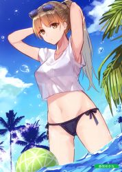 Rule 34 | 1girl, absurdres, aosaki yukina, armpits, arms behind head, arms up, artist name, ball, beachball, bikini, black bikini, blue sky, breasts, brown eyes, brown hair, bubble, cleavage, closed mouth, cloud, collarbone, crop top, crop top overhang, day, eyewear on head, gluteal fold, hair ornament, highres, long hair, looking at viewer, medium breasts, melonbooks, navel, no pants, outdoors, palm tree, ponytail, scan, see-through, shirt, short sleeves, side-tie bikini bottom, sky, solo, stomach, sunglasses, swimsuit, tree, wading, water, white shirt